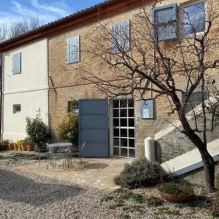 Casolare Saro Villa Morro d'Alba Exterior photo